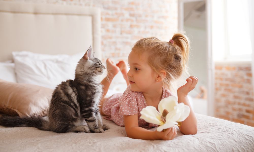 Chat et enfant : comment bien gérer la cohabitation ?