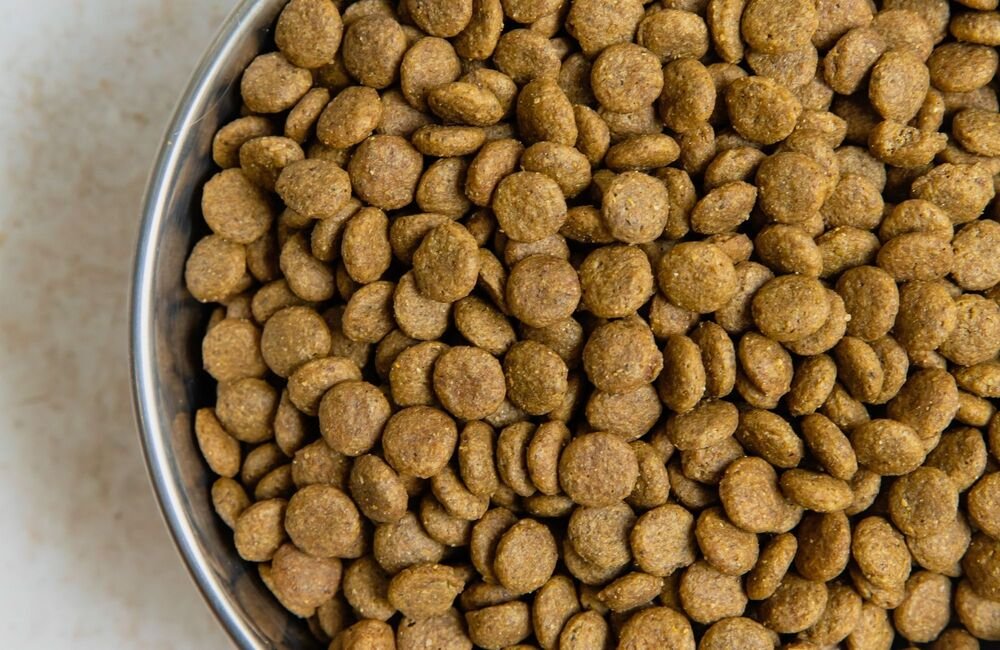 Les glucides : qu’est-ce que c’est ? - Stan.bio