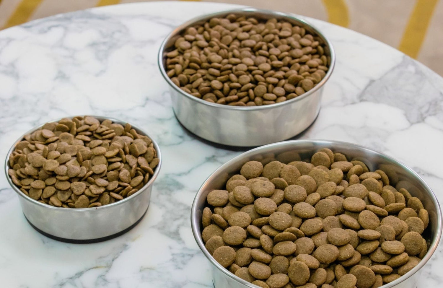 Mon animal ne digère pas ses croquettes : que faire ? - Stan.bio