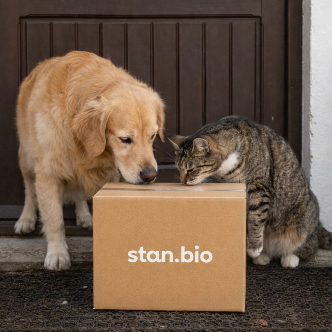 Un carton d'abonnement pour chien et chat de la marque Stan Bio avec golden retriever et chat tigré reniflant ensemble leur colis livré devant la porte d'entrée