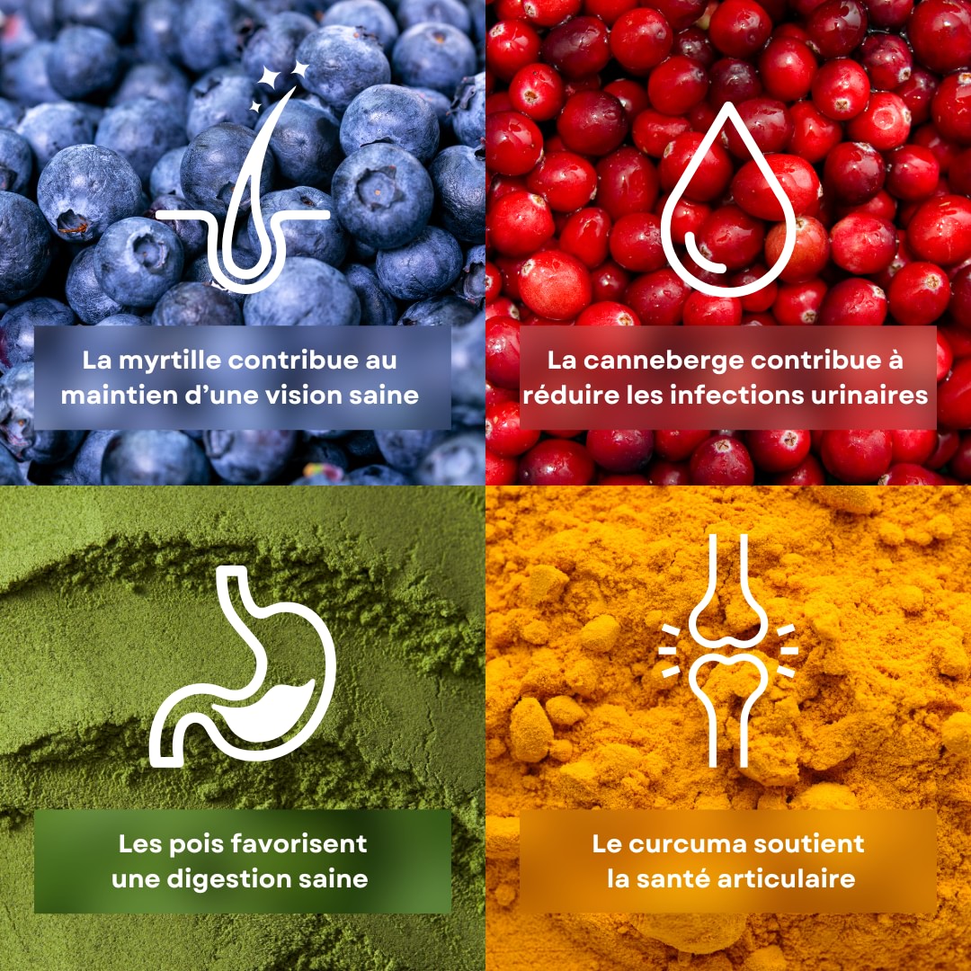 4 ingrédients de la recette de croquettes pour chat saveur poisson stan.bio sont présentés avec leurs bénéfices. Il y a le pois, la myrtille, le canneberge et le curcuma.