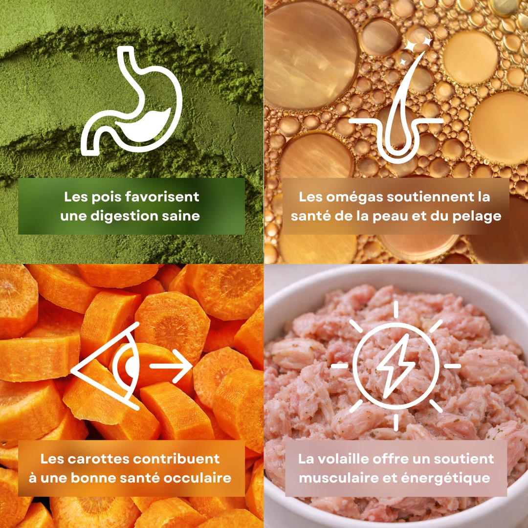 4 ingrédients de la recette d’émincés pour chat saveur volaille stan.bio et félichef bio sont présentés avec leurs bénéfices. Il y a le pois, la volaille, les carottes et les omégas.
