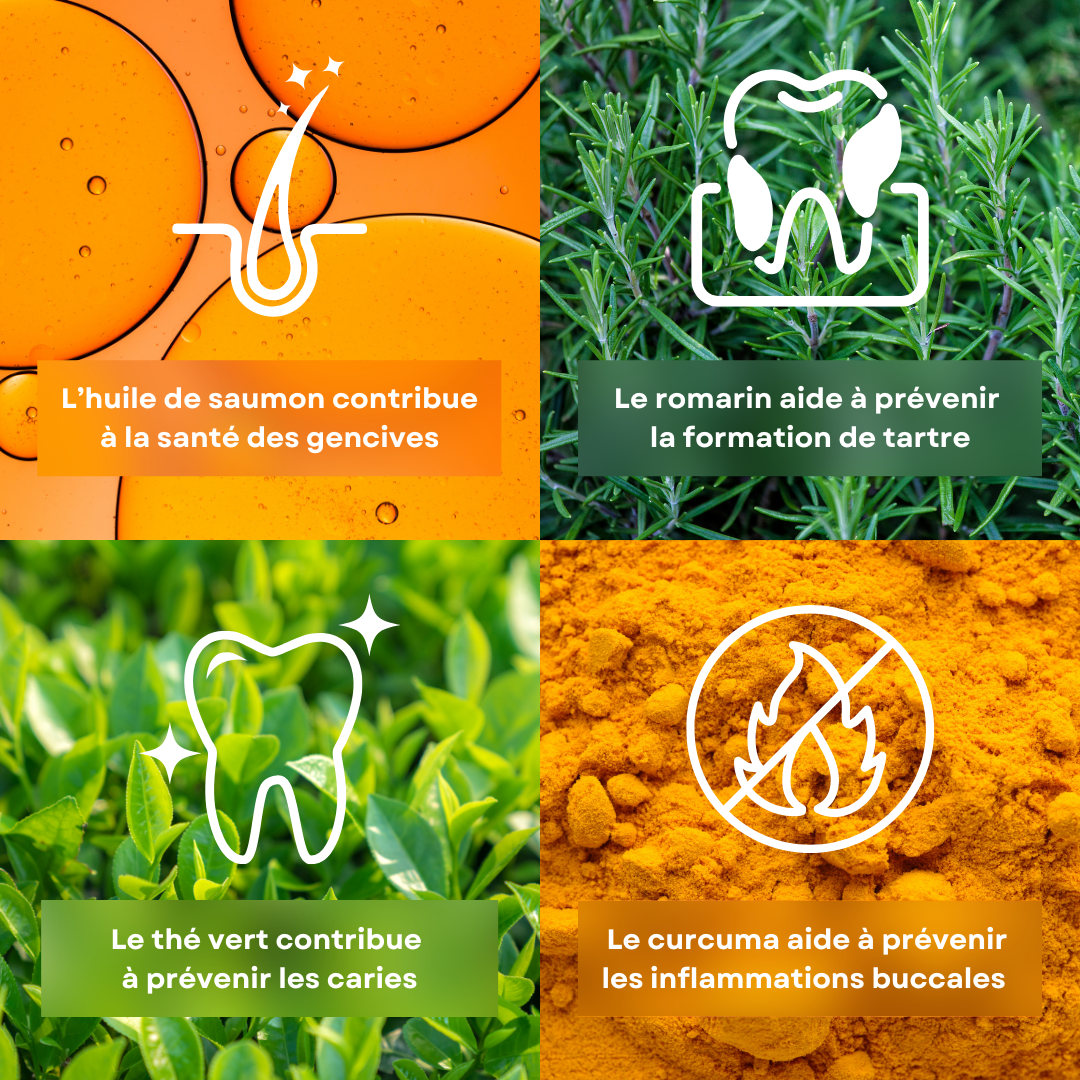 4 ingrédients de la recette de friandises pour chien et chat hygiène bucco-dentaire stan.bio sont présentés avec leurs bénéfices. Il y a l’huile de saumon, le romarin, le thé vert et le curuma.