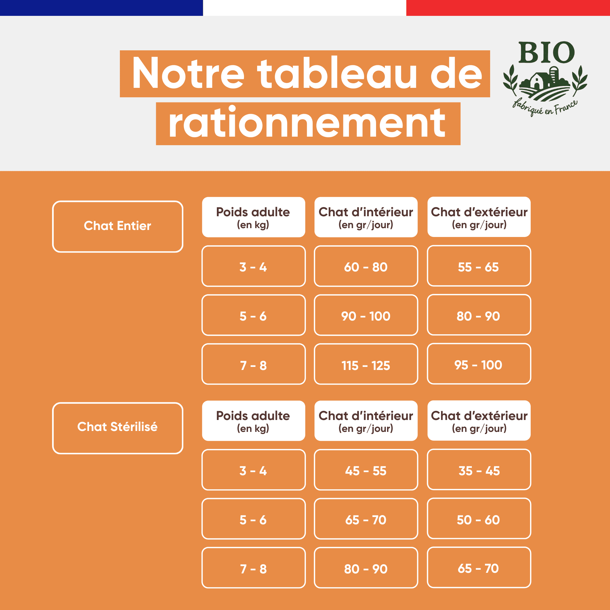 Tableau de rationnement des croquettes chat citrouille Stan.bio, rations journalières pour chat entier et stérilisé selon le poids, fond orange, fabriqué en France