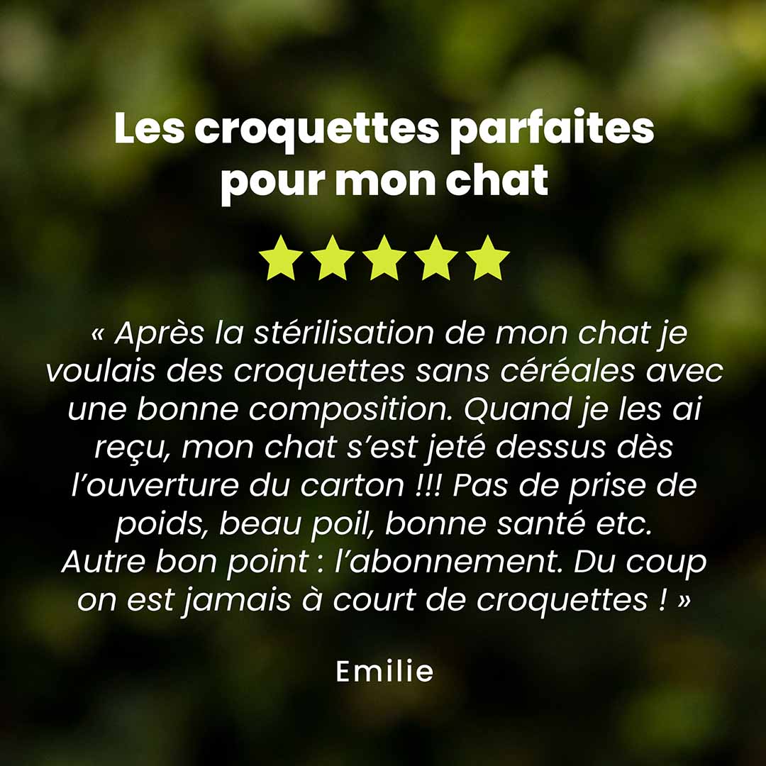 Un témoignage client pour les croquettes chat stérilisé saveur petits pois est au centre de l’image. Des étoiles sont au dessus du témoignage et le nom du client en dessous.
