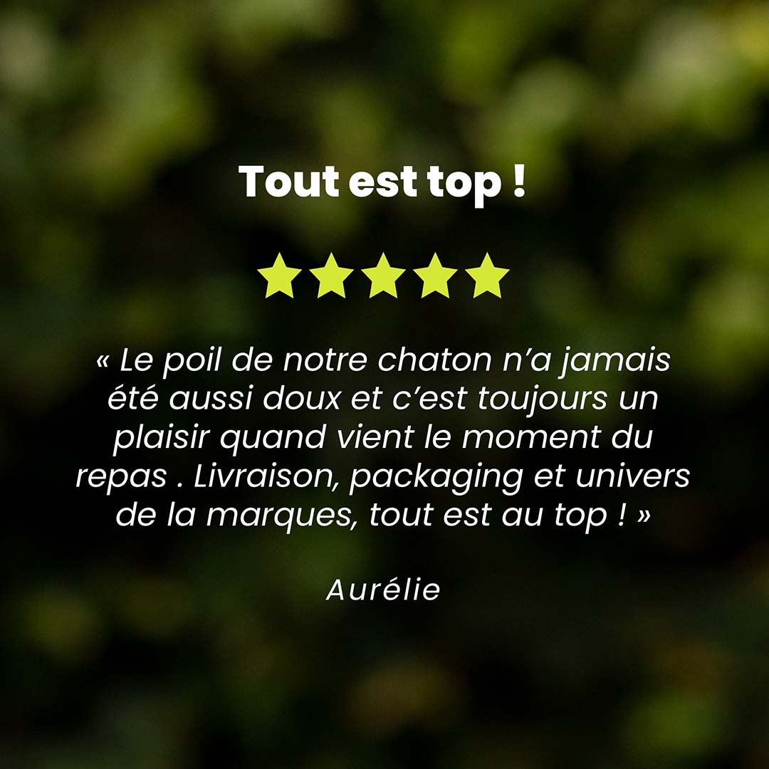 Un témoignage client pour les croquettes chaton saveur poulet et petits pois est au centre de l’image. Des étoiles sont au dessus du témoignage et le nom du client en dessous.