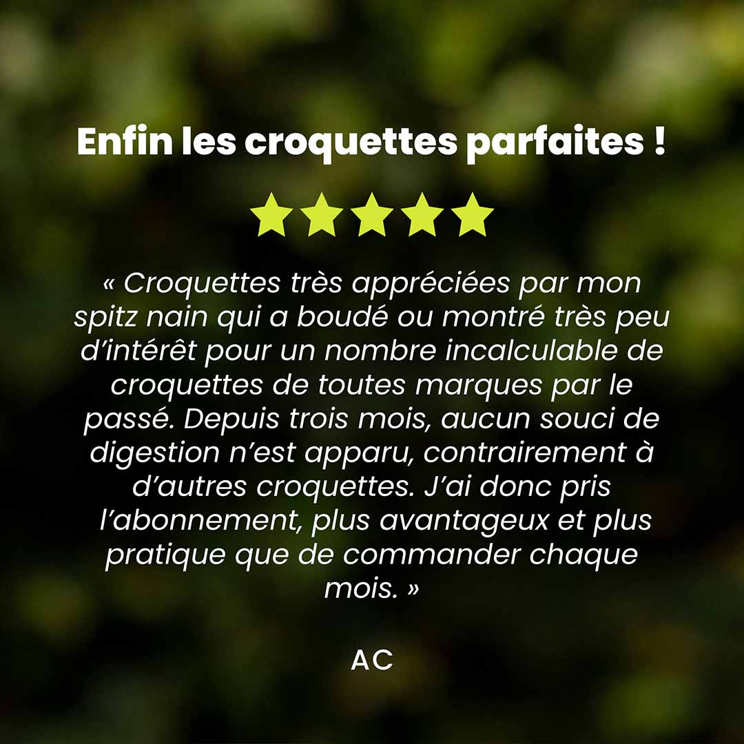 Un témoignage client pour les croquettes chien de petite race saveur citrouille est au centre de l’image. Des étoiles sont au dessus du témoignage et le nom du client en dessous.