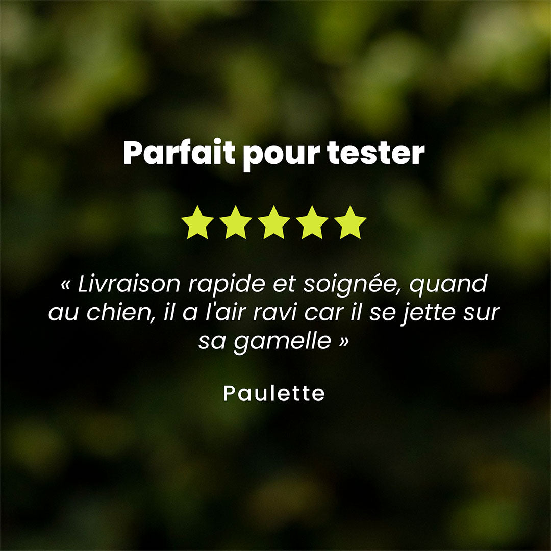 Un témoignage client pour l’offre découverte chien de moyenne et grande race est au centre de l’image. Des étoiles sont au dessus du témoignage et le nom du client en dessous.