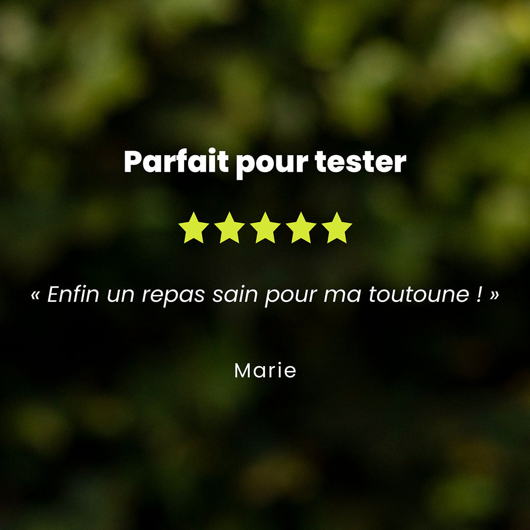 Un témoignage client pour l’offre découverte chien de petite race est au centre de l’image. Des étoiles sont au dessus du témoignage et le nom du client en dessous.