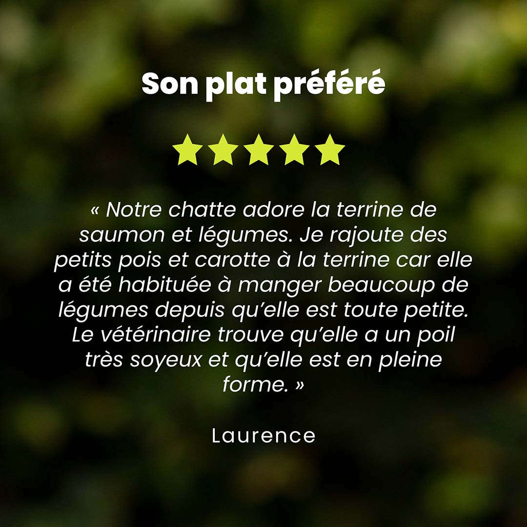Un témoignage client pour la pâtée chat saveur saumon est au centre de l’image. Des étoiles sont au dessus du témoignage et le nom du client en dessous.