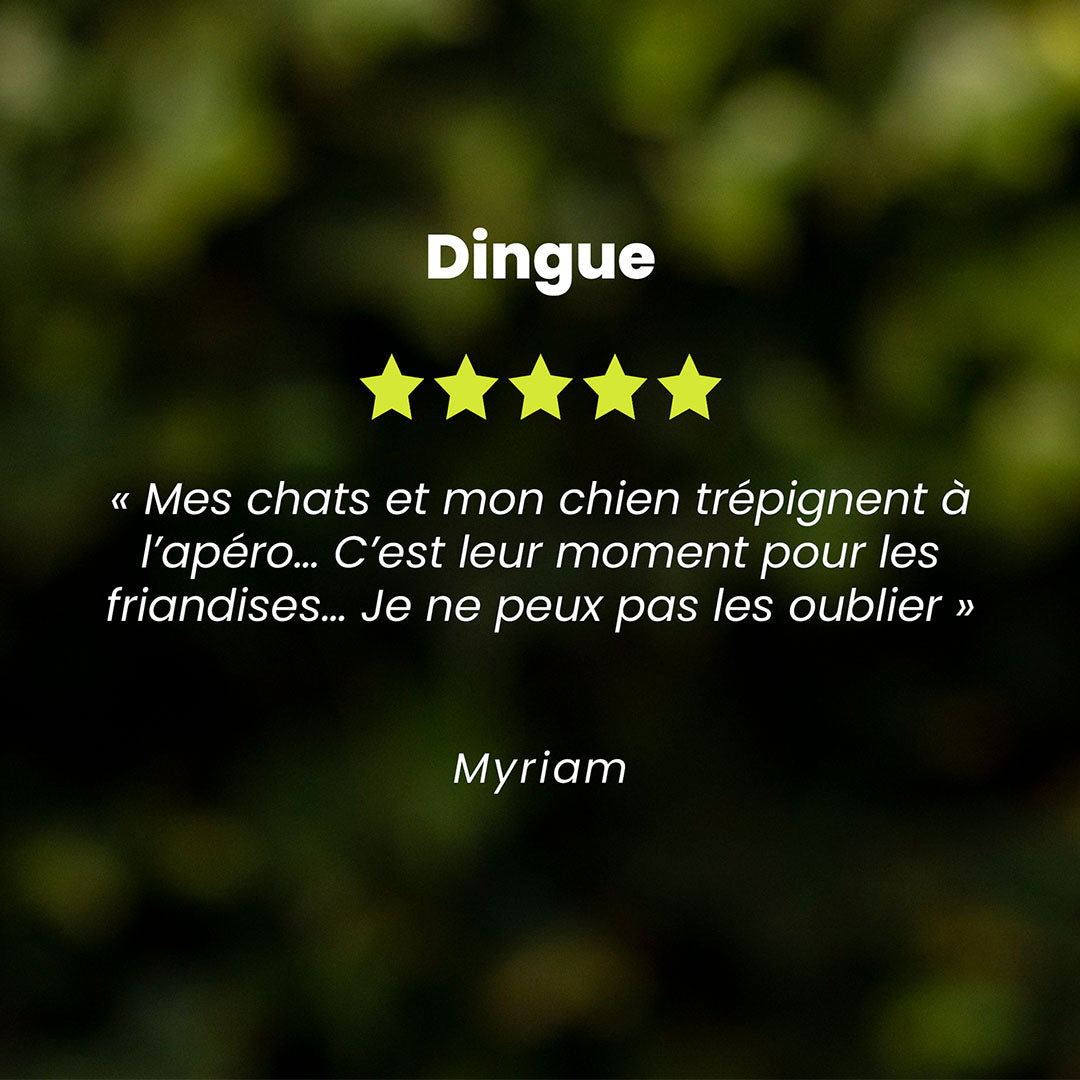 Un témoignage client pour la pâtée chien saveur boeuf est au centre de l’image. Des étoiles sont au dessus du témoignage et le nom du client en dessous.