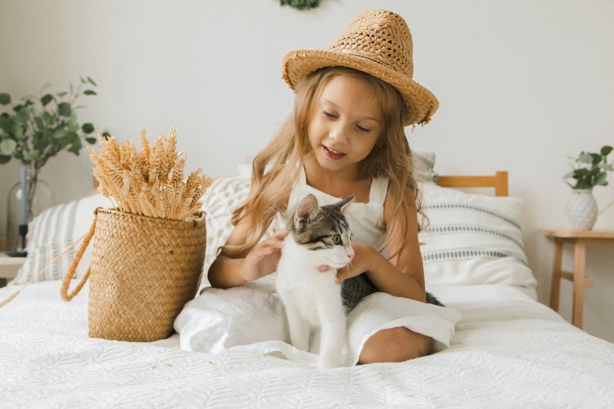 Croissance du chaton : la marche à suivre ! - Stan.bio