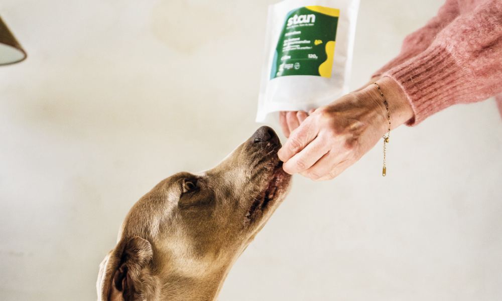 Une main de femme tend une friandise naturelle pour chien à son chien marron. Ce sont des friandises de la marque Stan.Bio. Le fond est blanc.