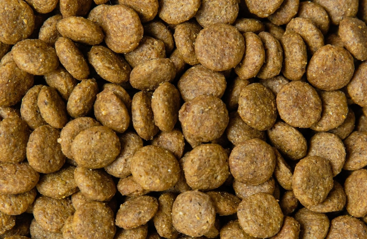Mon animal n’aime pas ses croquettes : que faire ? - Stan.bio