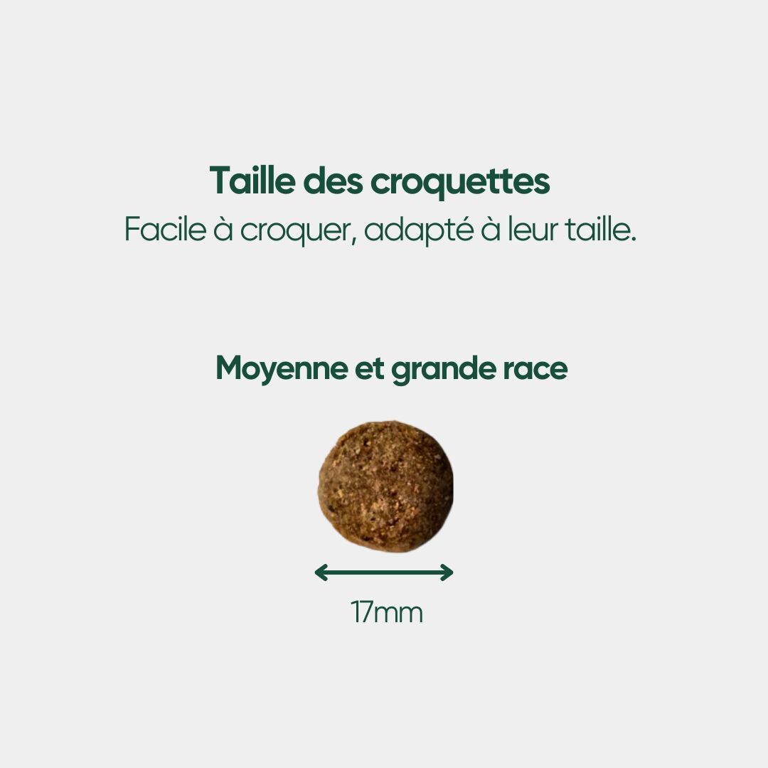 Croquettes Poulet & Petit Pois - Chien Moyenne & Grande race