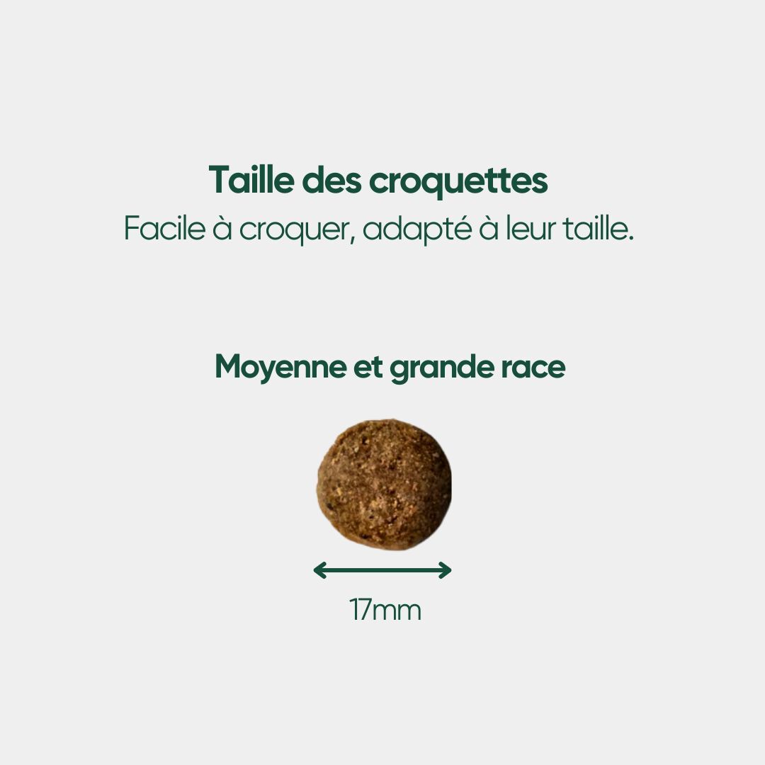 Croquettes Bio Chien Adulte Moy./Grande Race - Poulet & Petit Pois