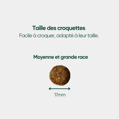 Croquettes Bio Chien Adulte Moy./Grande Race - Poulet & Petit Pois