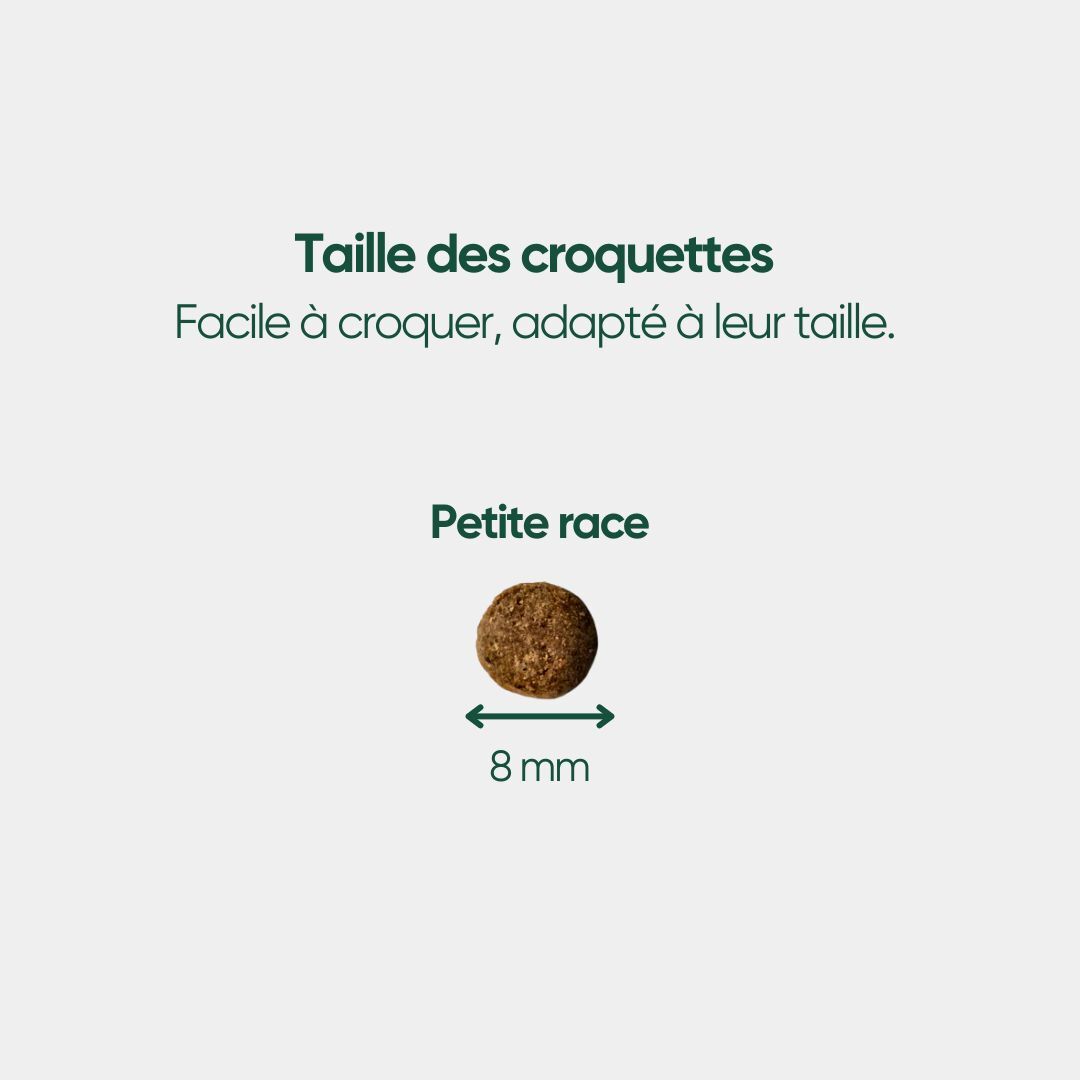 Croquettes Bio Chien Adulte Petite Race - Poulet & Citrouille