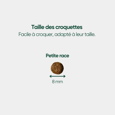 Croquettes Bio Chien Adulte Petite Race - Poulet & Citrouille