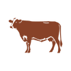 Boeuf