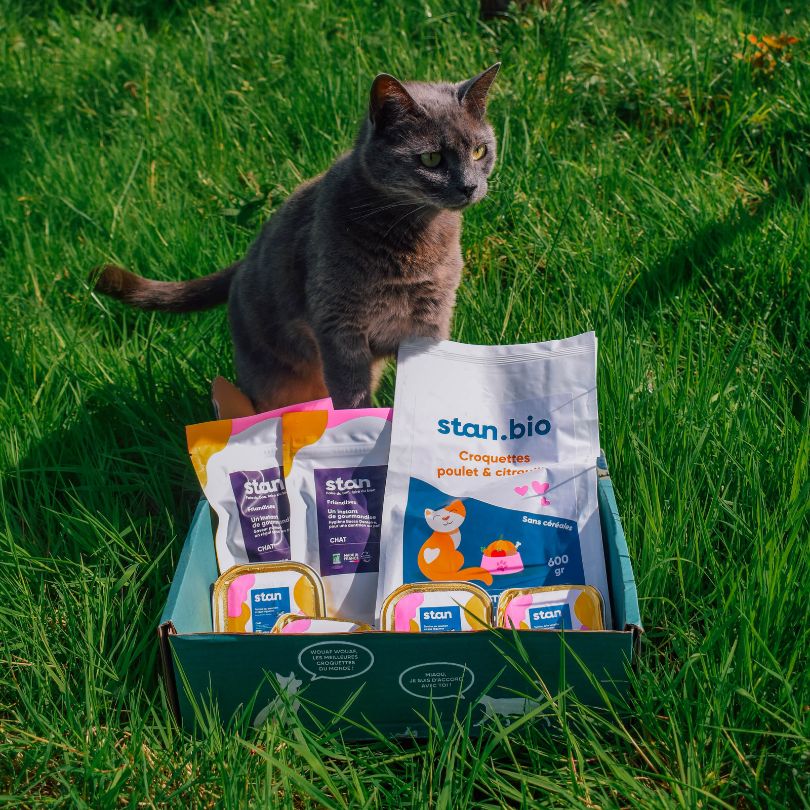 Box Découverte - Chat Stérilisé