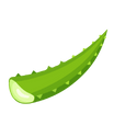 Écorces de feuilles d’Aloe Vera