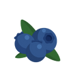 Myrtilles séchées