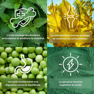 4 ingrédients séparent l'écran avec leurs bienfaits, l'ortie, la chondroïtine marine, le pois et la spiruline.