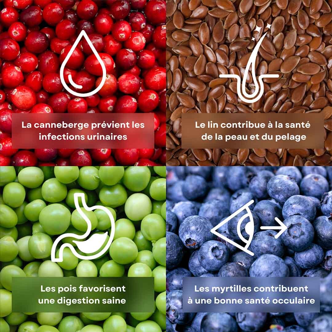 4 ingrédients de la recette de croquettes pour chat stérilisé saveur petits pois stan.bio sont présentés avec leurs bénéfices. Il y a la canneberge, le lin, le pois et la myrtille.