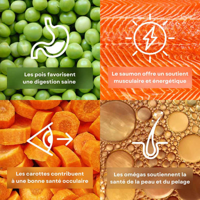 4 ingrédients de la recette d’émincés pour chat saveur saumon stan.bio et félichef bio sont présentés avec leurs bénéfices. Il y a le pois, le saumon, les carottes et les omégas.