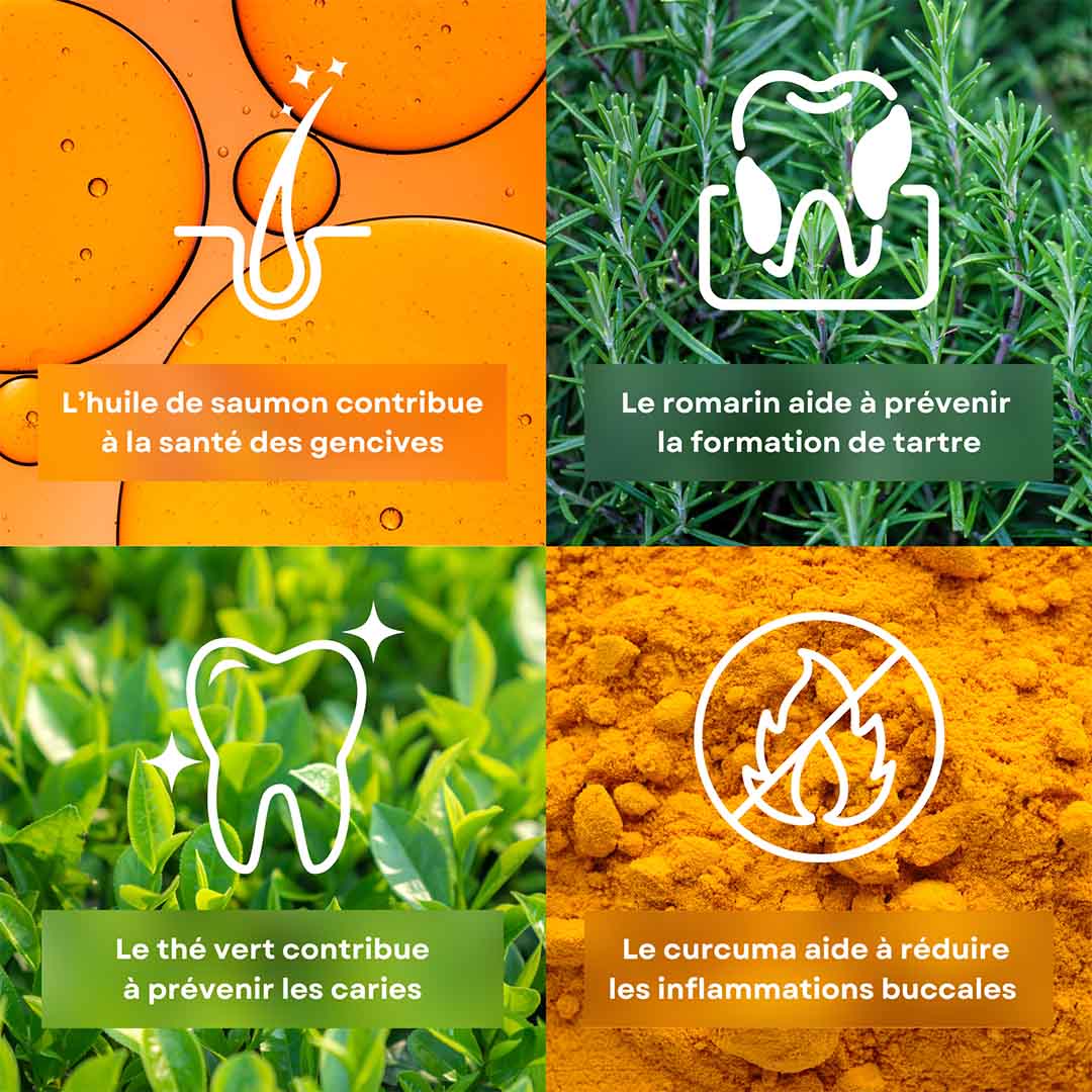 4 ingrédients de la recette de friandises pour chien hygiène bucco-dentaire stan.bio sont présentés avec leurs bénéfices. Il y a l’huile de saumon, le romarin, le thé vert et le curuma.