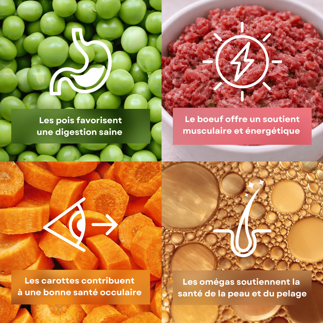 4 ingrédients de la recette de pâtée pour chien et chat saveur boeuf stan.bio sont présentés avec leurs bénéfices. Il y a le pois, le boeuf, les carottes et les omégas.