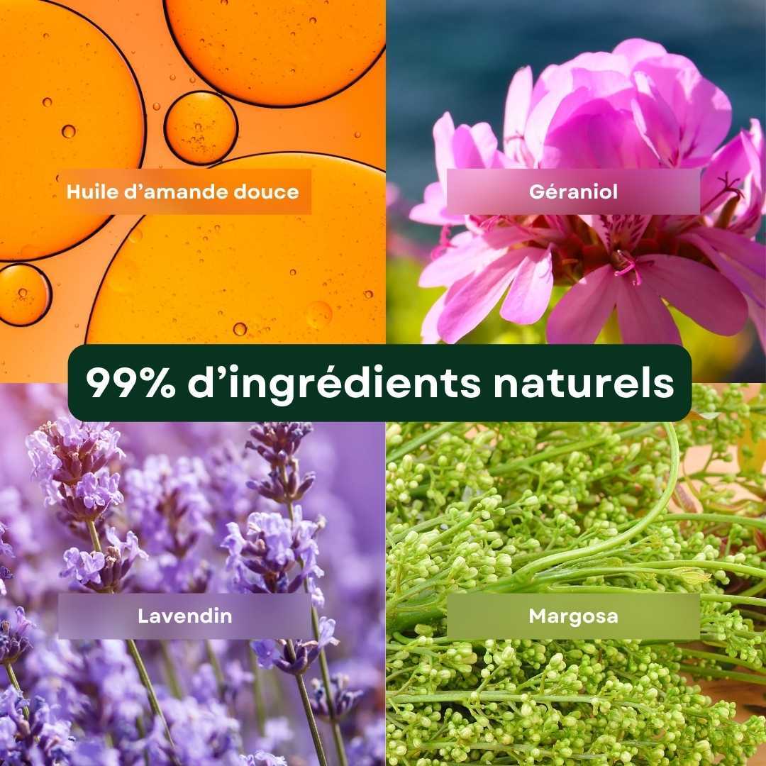 Les 4 ingrédients qui sont présents dans la composition de nos pipettes anti-parasitaires pour chien de moyenne et grande race. Nous voyons de l'huile d'amande douce, du géraniol, du lavendin et du margosa. Au centre de l'image se trouve une pastille 99% d'ingrédient naturels.