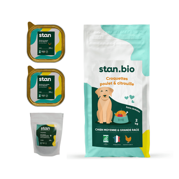 Les produits pour l’offre découverte d’alimentation bio pour chien mgr (moyenne et grande race) sont au centre de l’image. On y voit des croquettes sans céréales, des pâtées et des friandises.