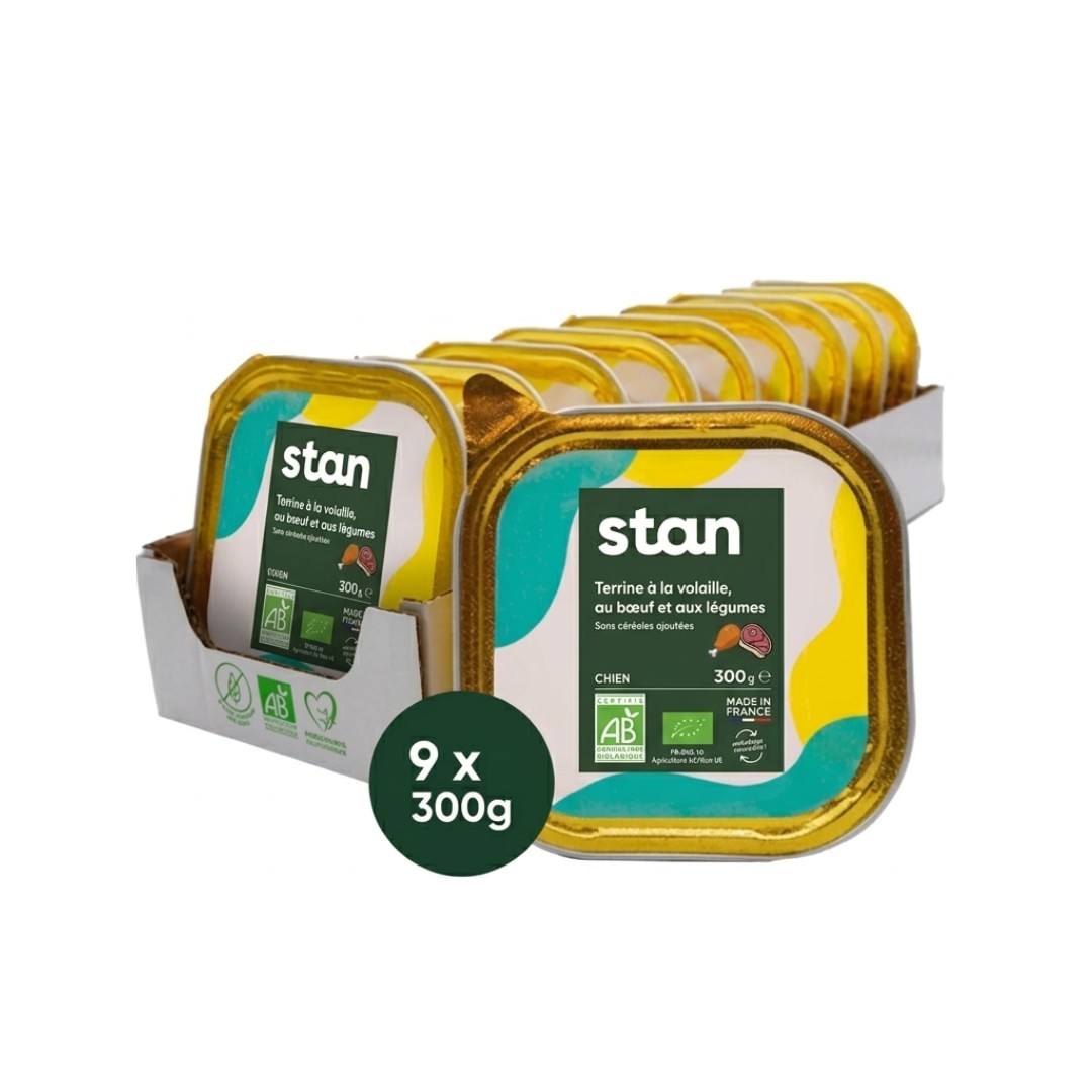 Un pav de 9 pâtées pour chien saveur volaille et boeuf sont au centre de l'image. Une terrine est à côté du pack, de face. Il est précisé qu'il y a 9 boîtes de 300 grammes.
