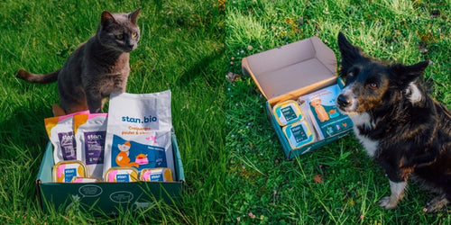 Un chat et un chien devant des produits bio pour animaux de compagnie sont au centre de l'image.