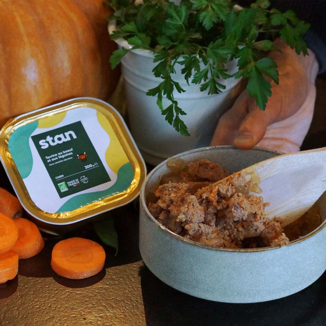 La recette de pâtée pour chien saveur boeuf est décomposée en image. Au centre se trouve un bol rempli de cette pâtée, avec la boite juste à sa gauche. À coté se trouvent des carottes, des petits pois, une citrouille et des herbes aromatiques.
