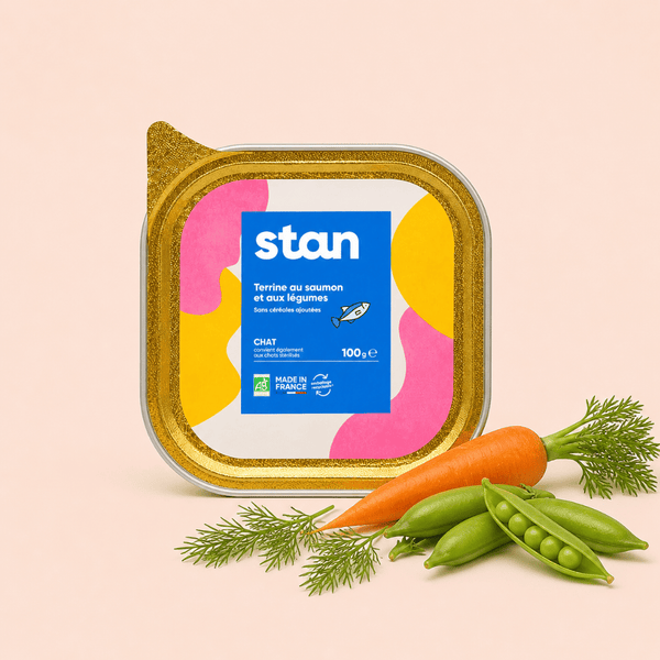 Pâtée Saumon & Légumes (x16) - Chat