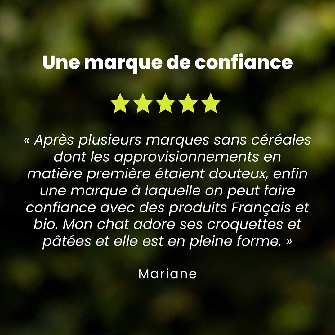 Un témoignage client pour les croquettes chat stérilisé saveur citrouille est au centre de l’image. Des étoiles sont au dessus du témoignage et le nom du client en dessous.