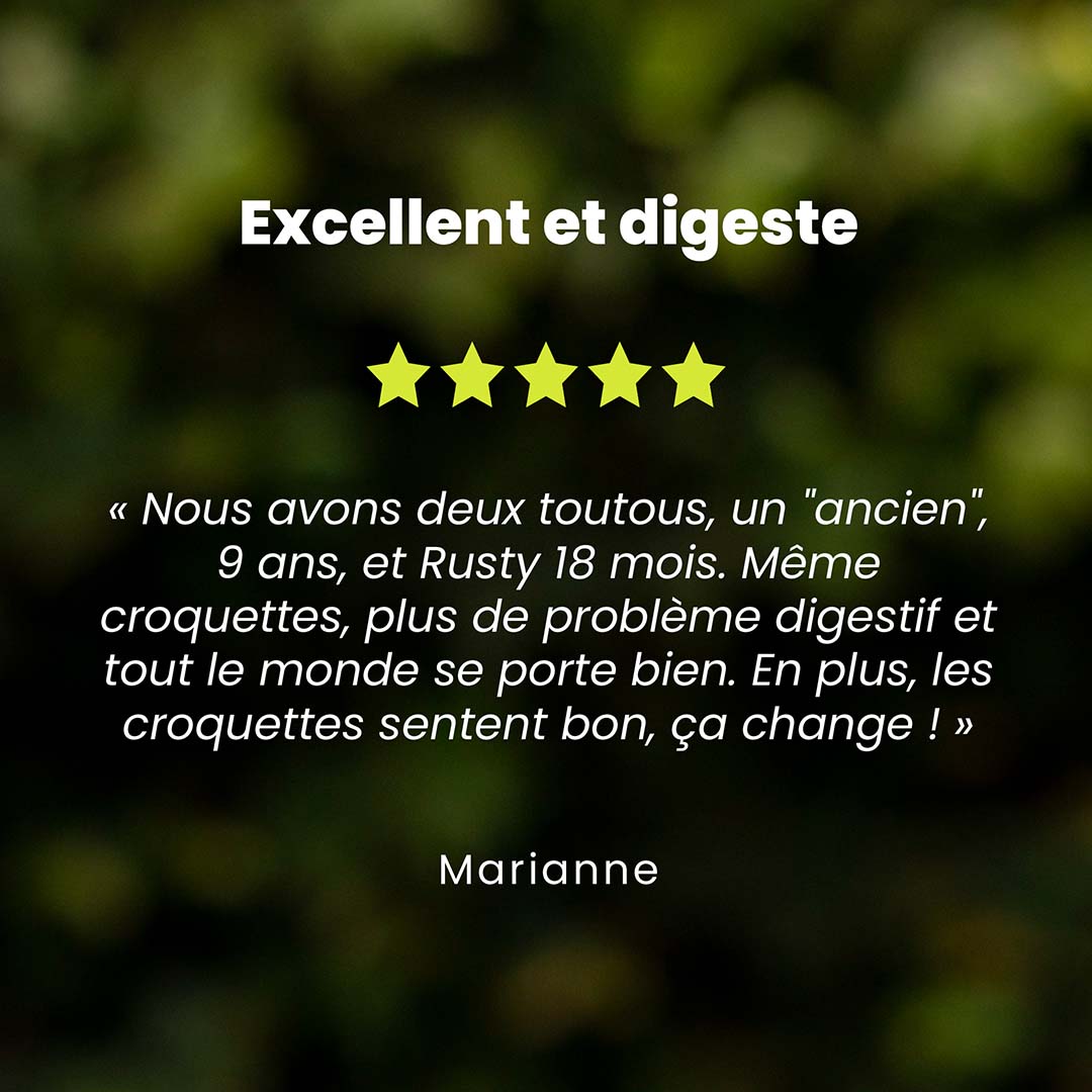 Un témoignage client pour les croquettes chien de moyenne et grande race saveur citrouille est au centre de l’image. Des étoiles sont au dessus du témoignage et le nom du client en dessous.