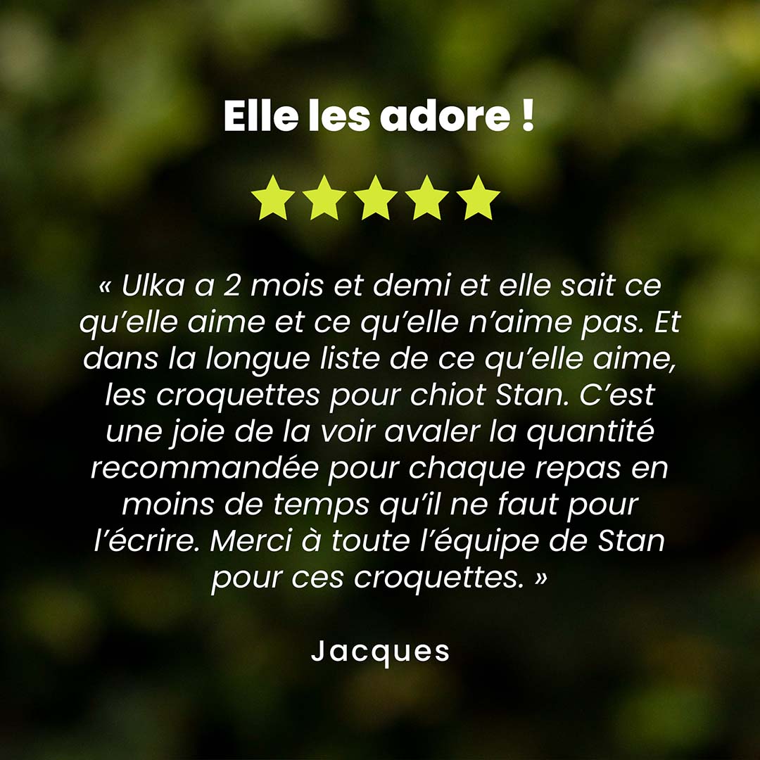Un témoignage client pour les croquettes chien de moyenne et grande race saveur petits pois est au centre de l’image. Des étoiles sont au dessus du témoignage et le nom du client en dessous.