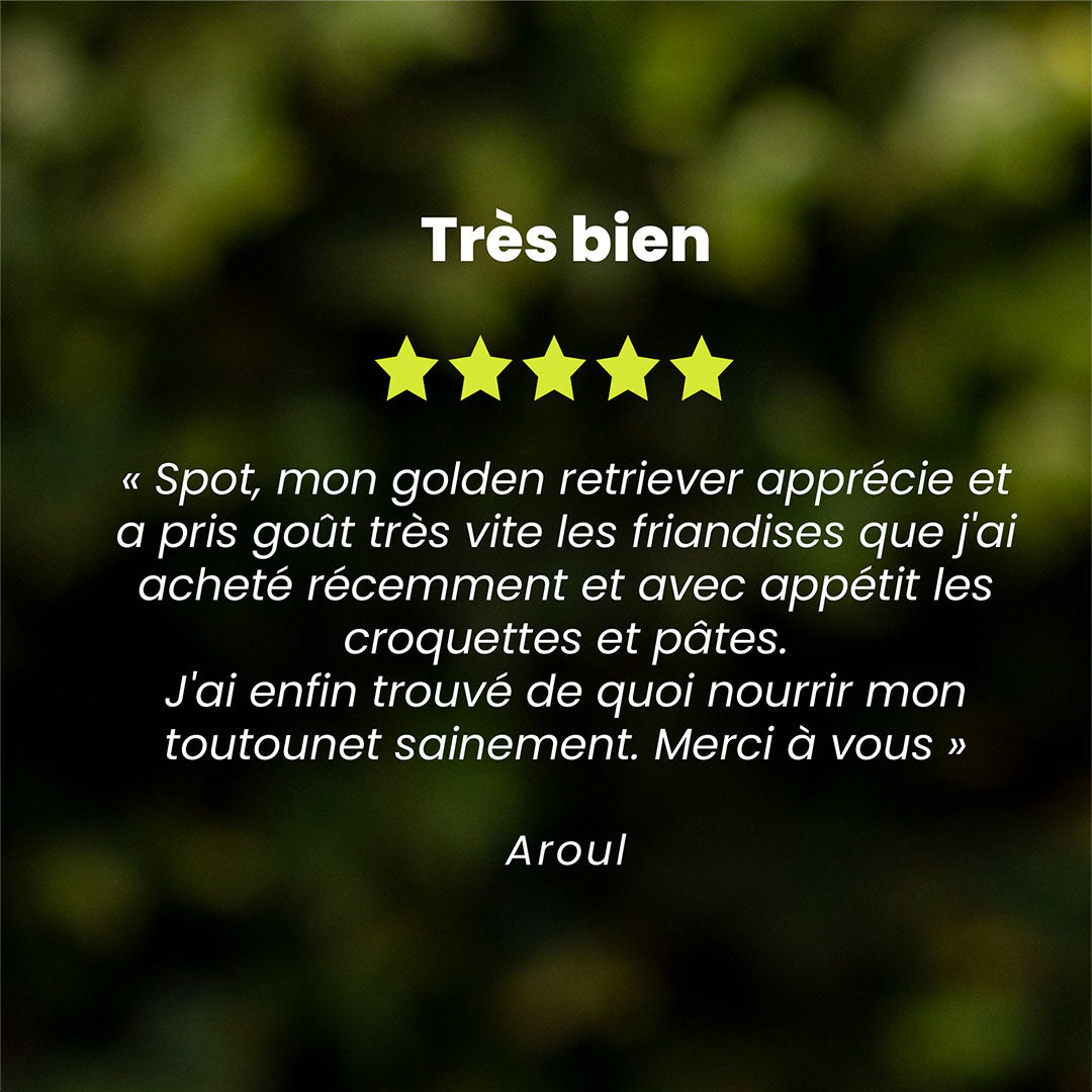 Un témoignage client pour des friandises chien qui aident à maintenir une bonne hygiène bucco-dentaire est au centre de l’image. Des étoiles sont au dessus du témoignage et le nom du client en dessous.
