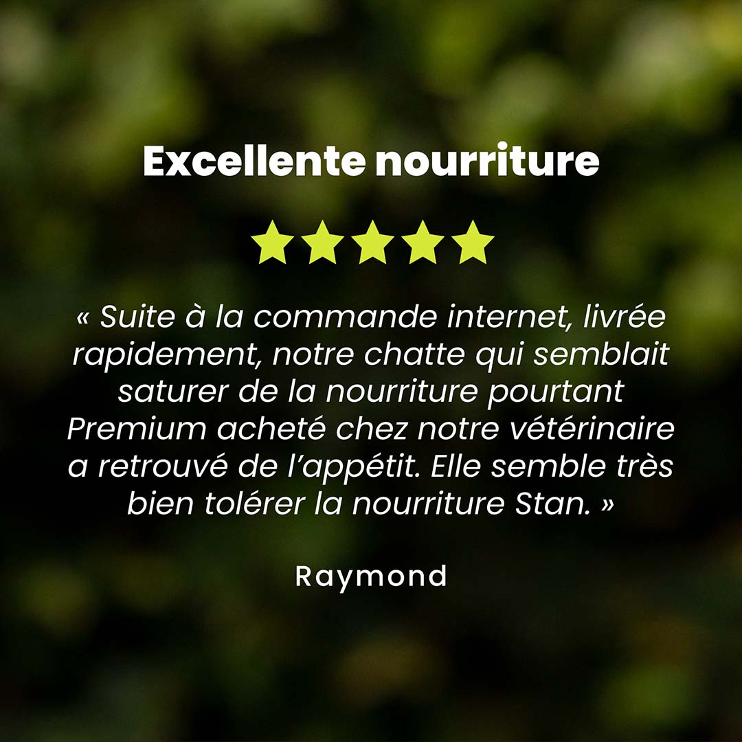 Un témoignage client pour l’offre découverte chat stérilisé est au centre de l’image. Des étoiles sont au dessus du témoignage et le nom du client en dessous.