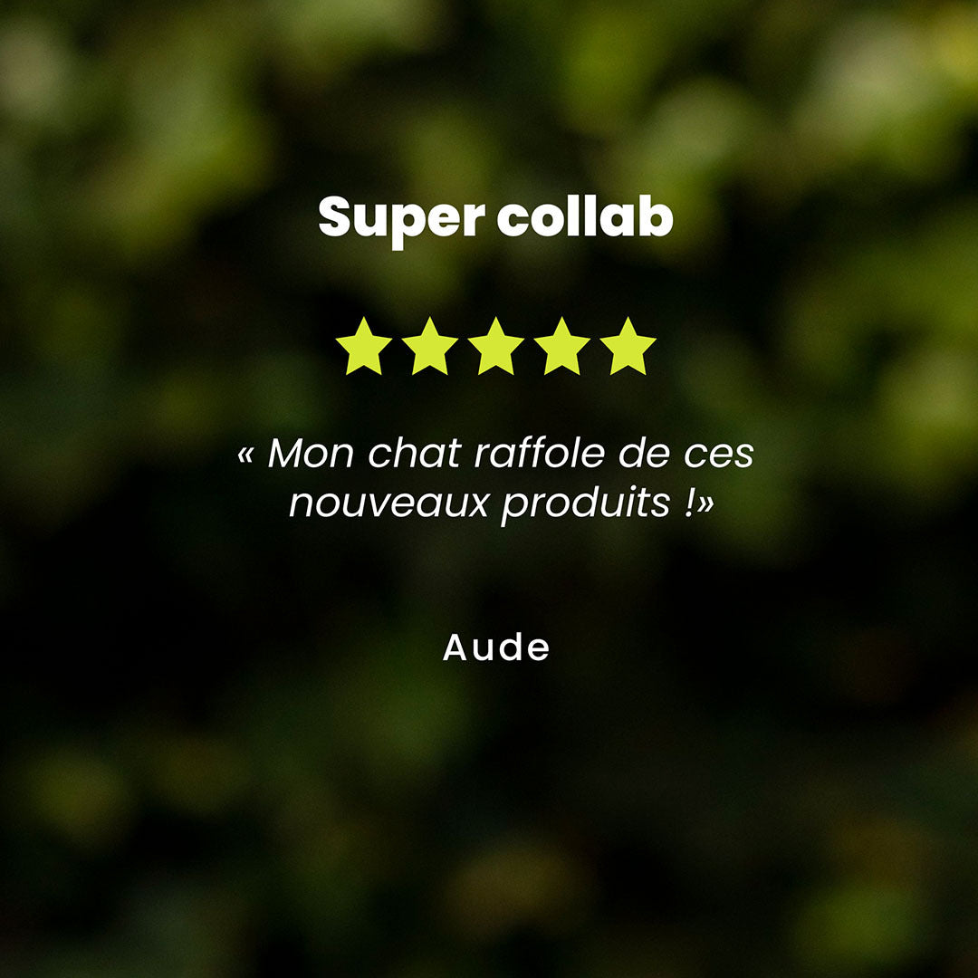 Un témoignage client pour les émincés chat saveur saumon est au centre de l’image. Des étoiles sont au dessus du témoignage et le nom du client en dessous.